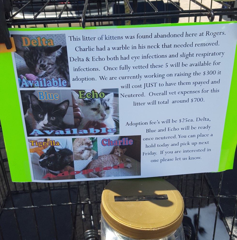 ohio flea market allows neglectful selling of