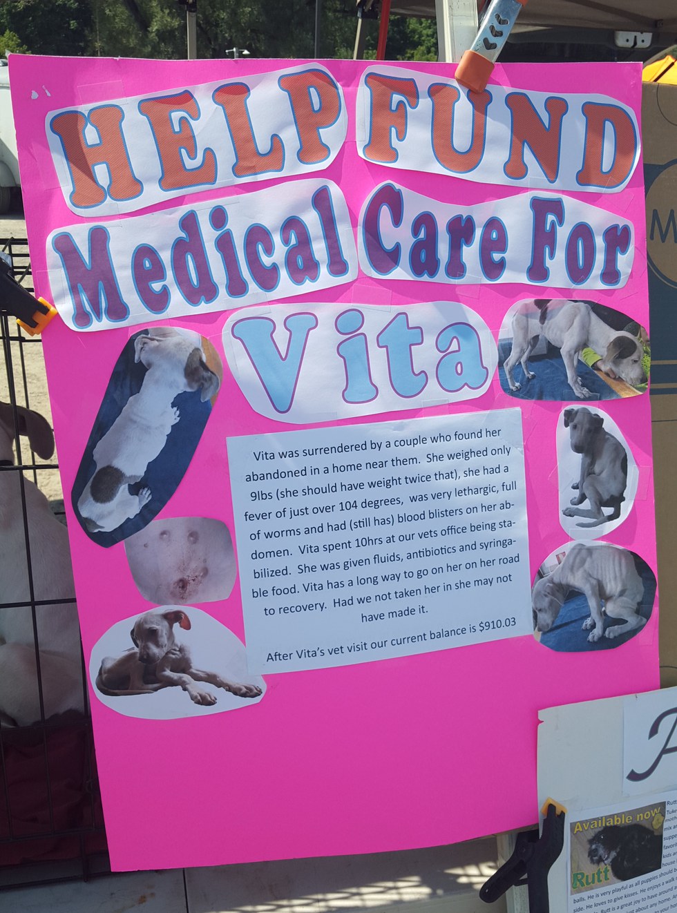 ohio flea market allows neglectful selling of