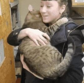 couple went to visit cats and one of them clutched onto the