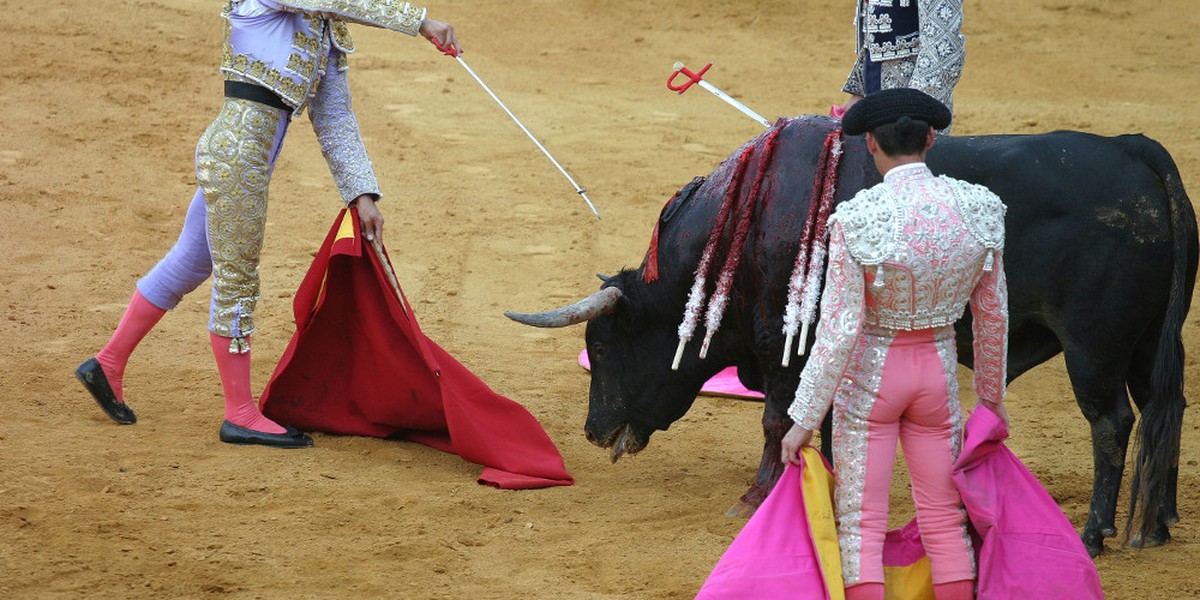 Tauromaquia El mayor desafío a la moral la educación la ciencia y la