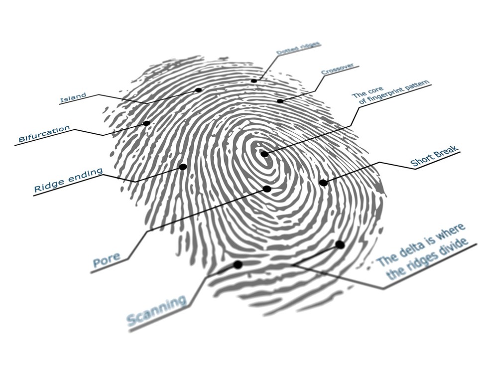 Security of biometric data from fingerprints to iris scans Gearbrain