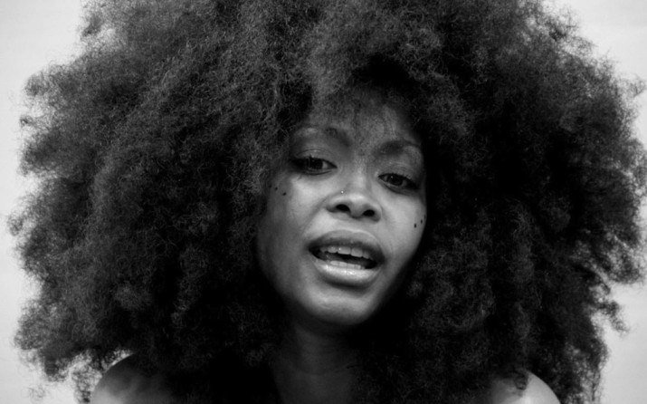 Guess Where Erykah Badu & Her Ancestors Are From? - OkayAfrica