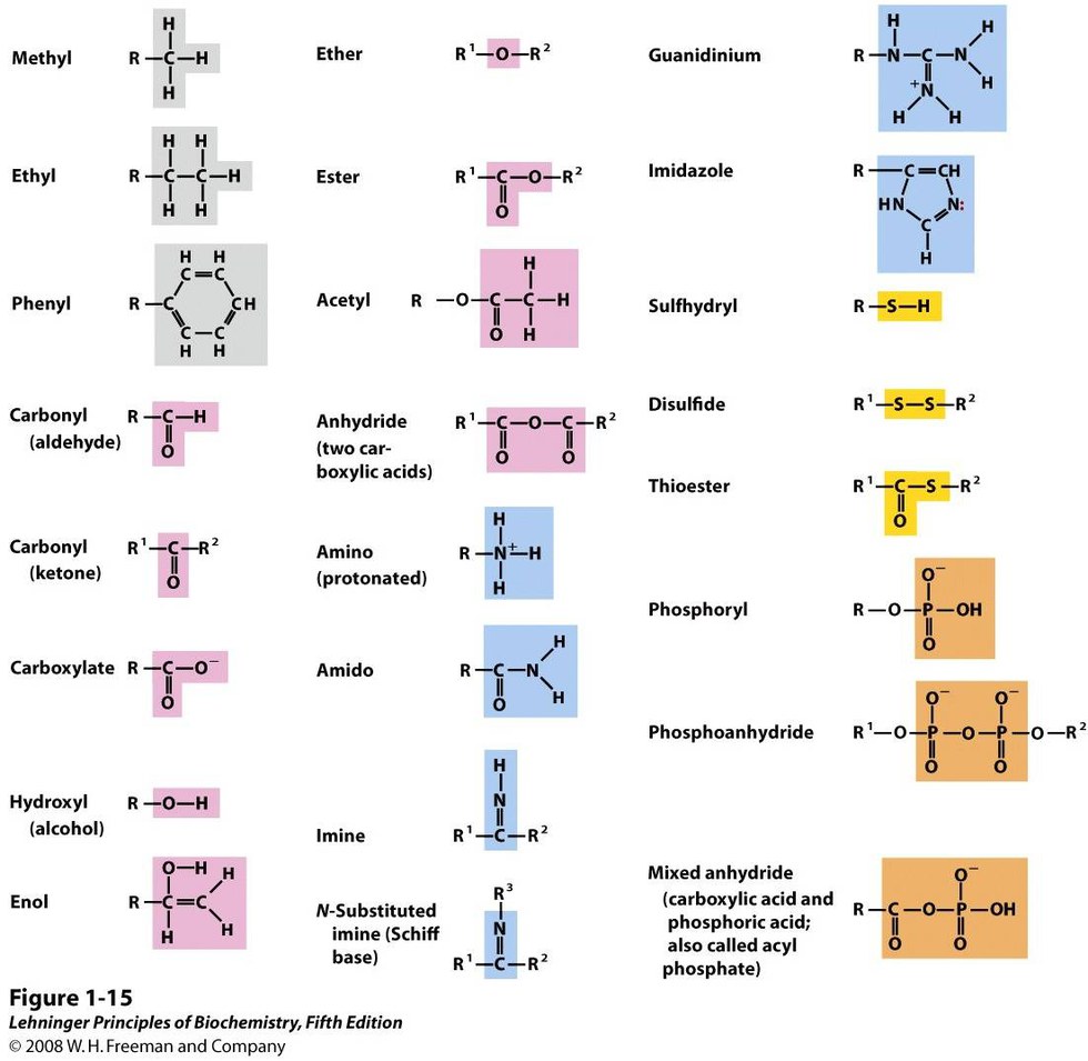 How To Identify Functional Groups Biology