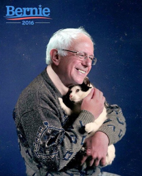 Sexist Bernie Bros Are Trying To Keep This Incriminating Photo Of St Bernard Grabbing A Pussy 