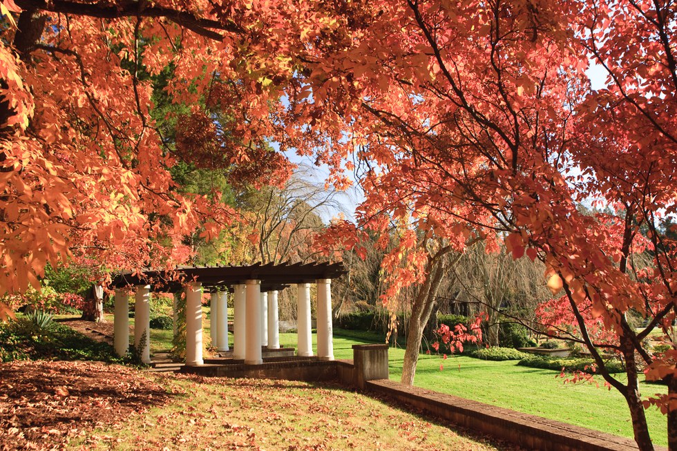 The Best Fall Activities In Winston Salem