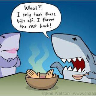 6 Reasons You Should Put Down The Shark Fin Soup