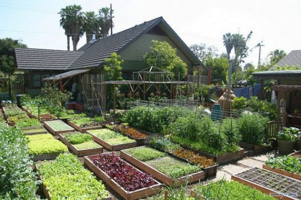 30 Gartenideen zum Selbermachen - Diy Projekte 30 Gartenideen zum Selbermachen - Diy Projekte