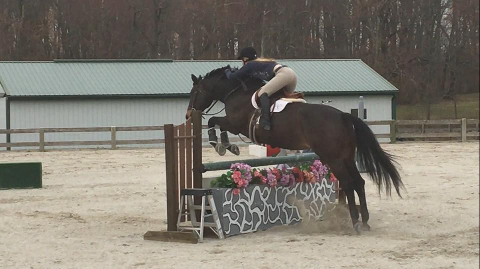 10 Reasons Why Horseback Riding Is Definitely A Sport