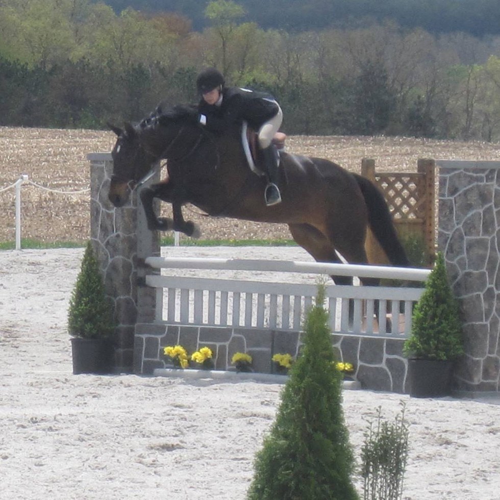 10 Reasons Why Horseback Riding Is Definitely A Sport