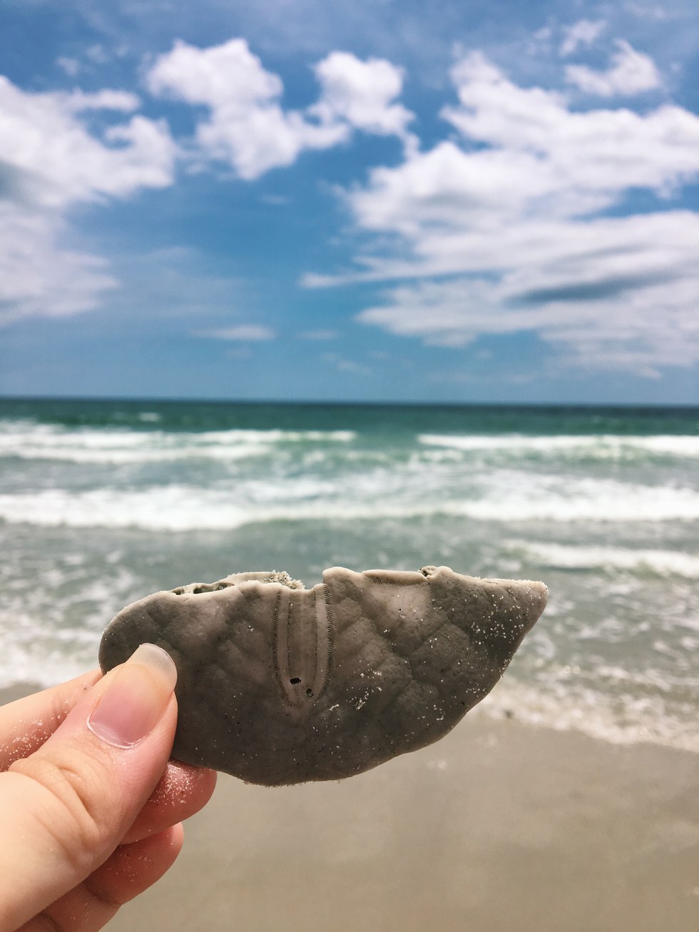 13 Reasons To Visit Ocrae Island North Carolina There Is Amazing Beach Combing