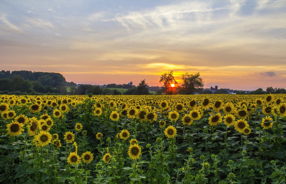 7 Scenic Places To Visit In New Jersey This Summer