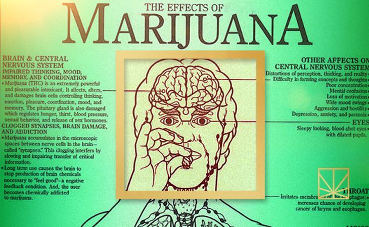 pot head gets fucked Nicole ari-parker nake