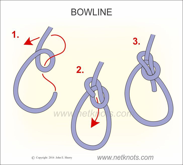 4 Knots Everyone Should Known