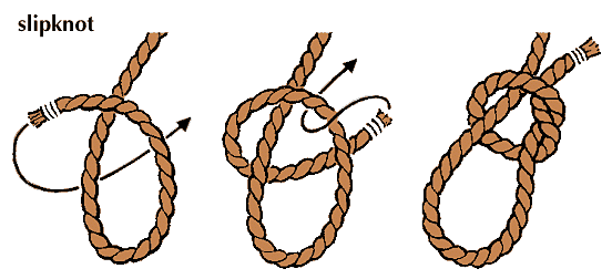 4 Knots Everyone Should Known