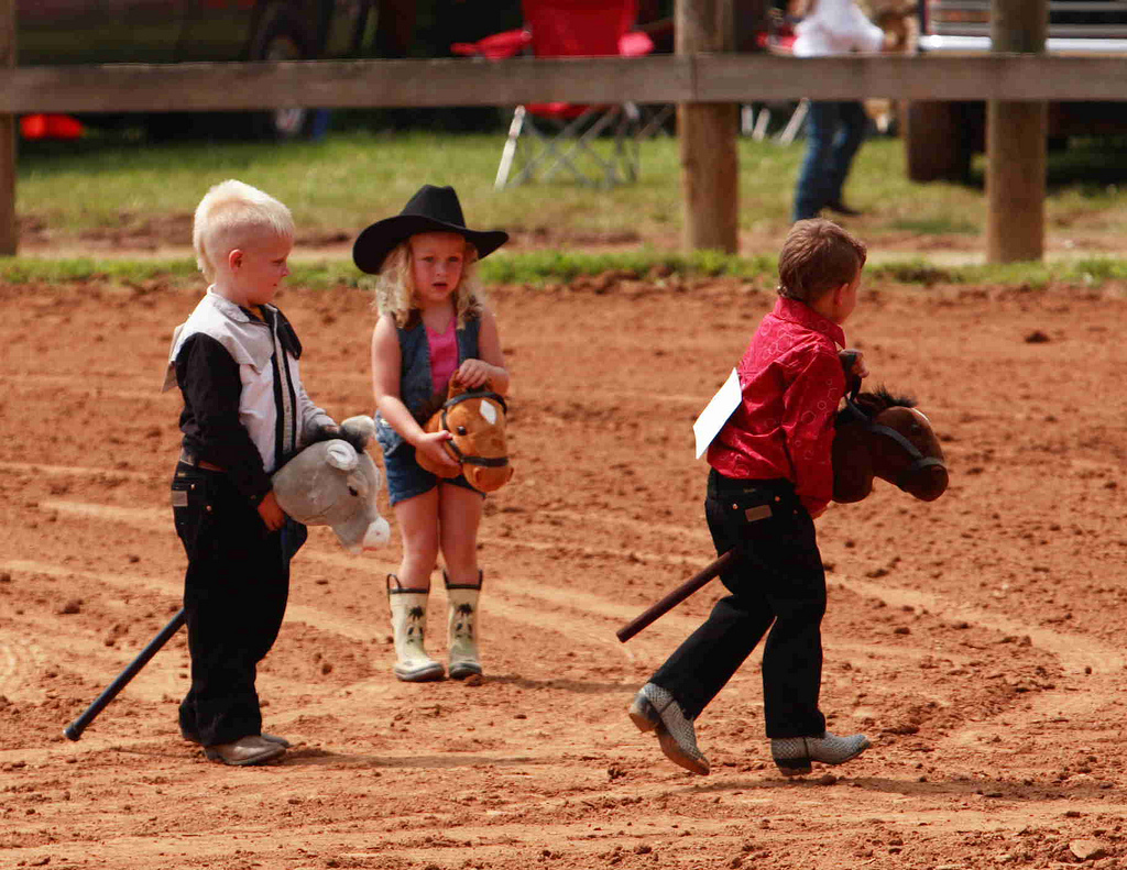 horse stick for kids