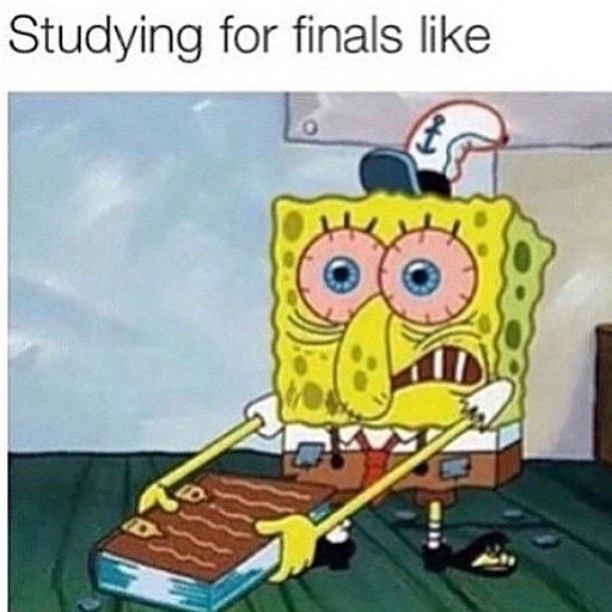 Spongebob Study Memes