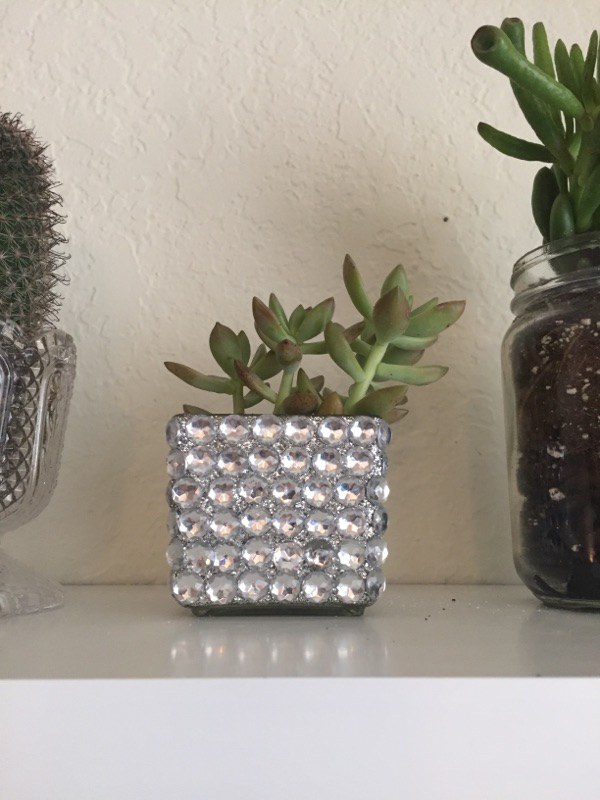 7 Upcycled Containers For A Trendy Succulent Display