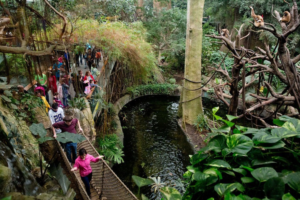 henry doorly zoo stuffed animals