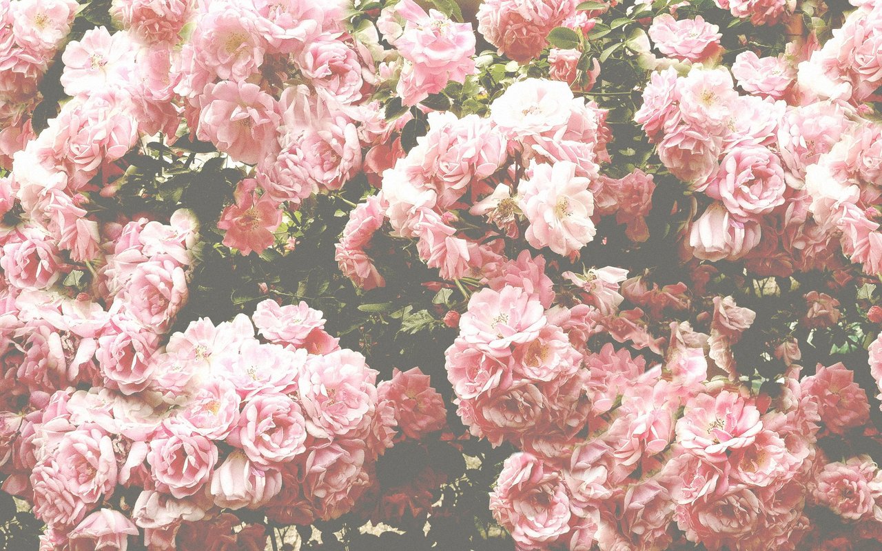 30 Bible Verses For The Broken Hearted