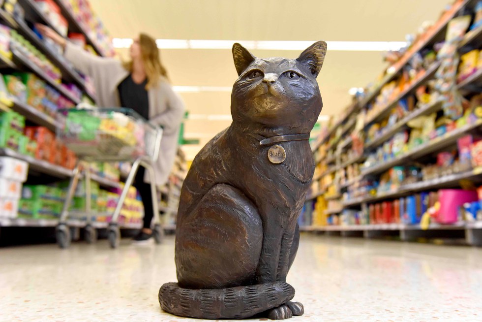 Cat store. Кот в супермаркете. Магазинные коты. Скульптура в офис. Скульптура кота с АЛИЭКСПРЕСС.