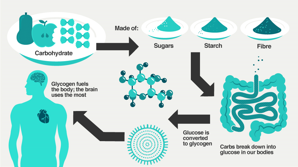 Why Carbs Are Really Not The Enemy