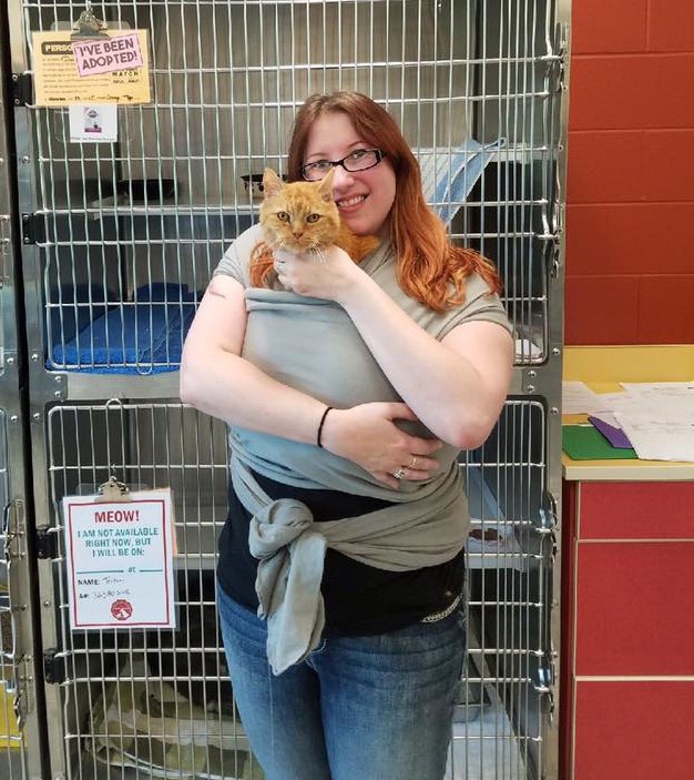 15-year-old Shelter Cat Cries Until He's Held All the Time ...