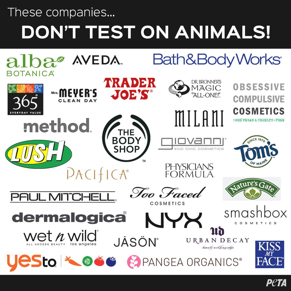 the reasons animal testing should be the reasons animal testing should be