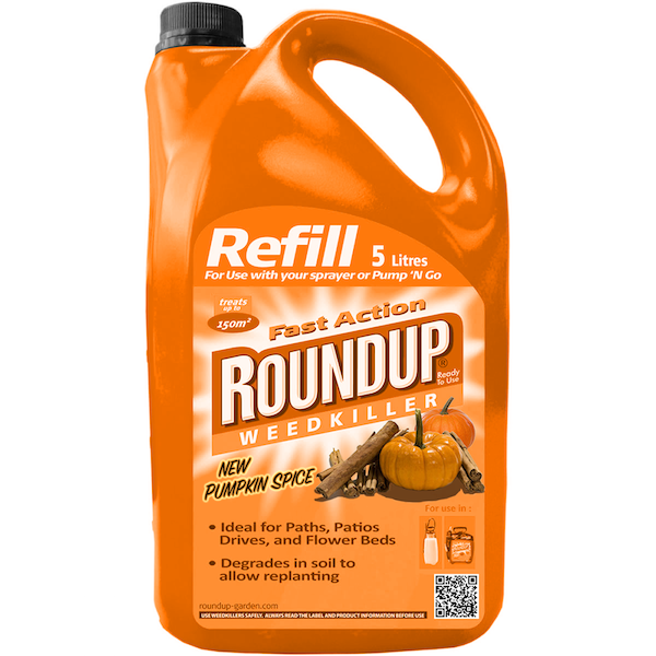 pumpkin spice tampons