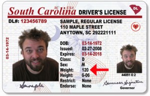south carolina driver license check
