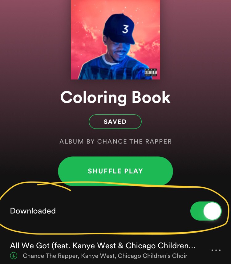 how does spotify student work