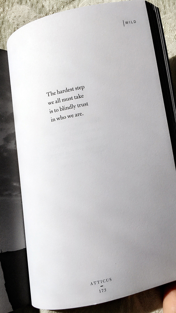 17 Poems From Love Her Wild To Relate To