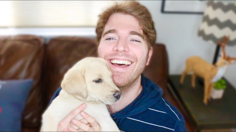 Image result for shane dawson