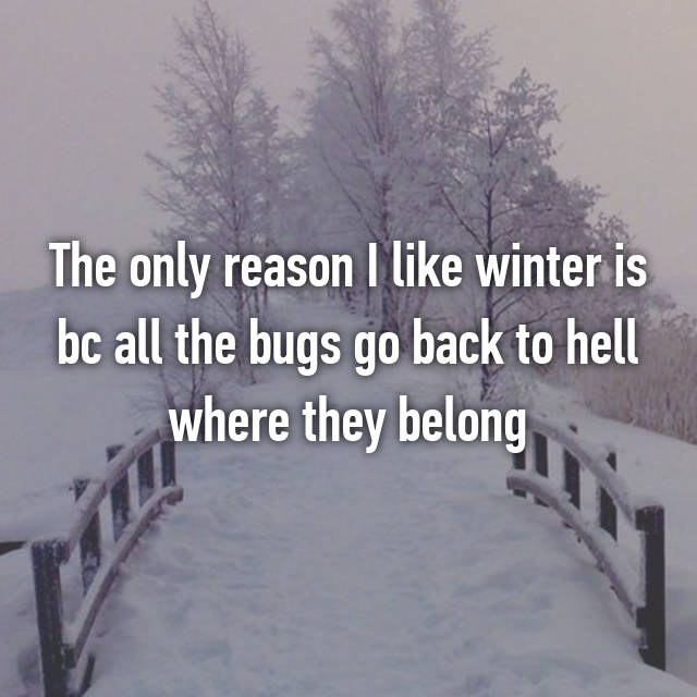 4 Reasons Why Fall And Winter Are Better Than Summer And Spring