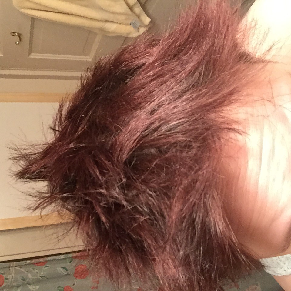 Arctic Fox Hair Color Review Going From Red To Blue Hair