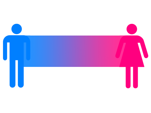 Image result for binary gender