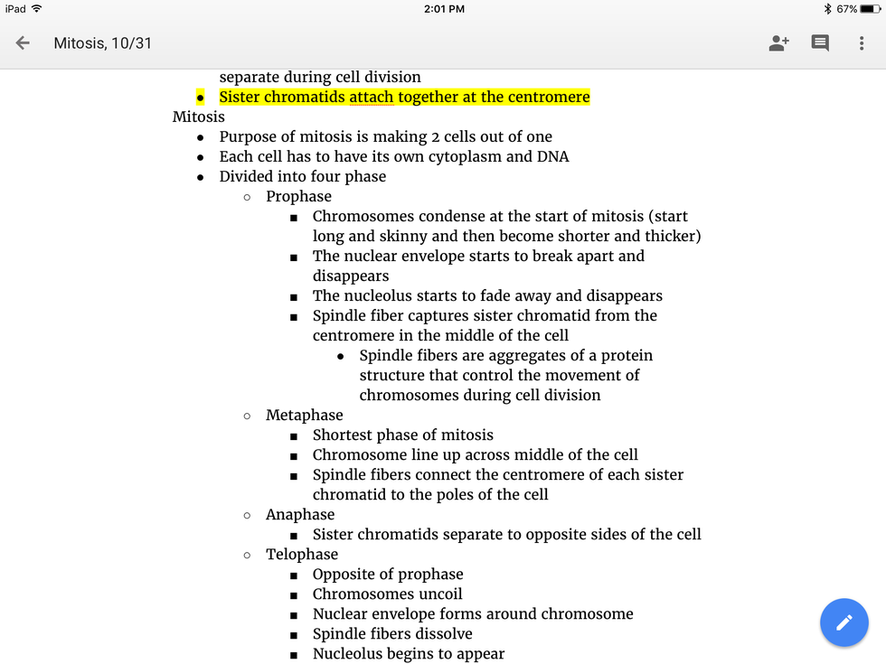 How To Do Outline Notes On Google Docs