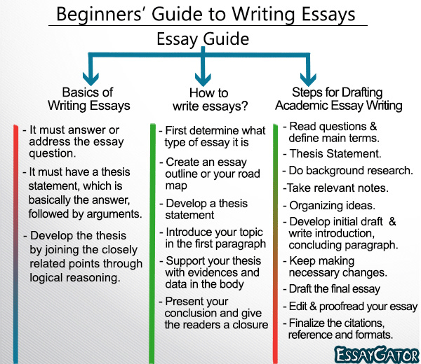 essay help guide