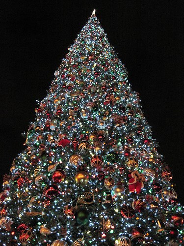 whether its decking the halls or driving around looking at christmas lights christmas decorations are undoubtedly one of the greatest parts of christmas - Why Christmas Is The Best Holiday whether its decking the halls or driving around looking at christmas lights christmas decorations are undoubtedly one of the greatest parts of christmas - Why Christmas Is The Best Holiday