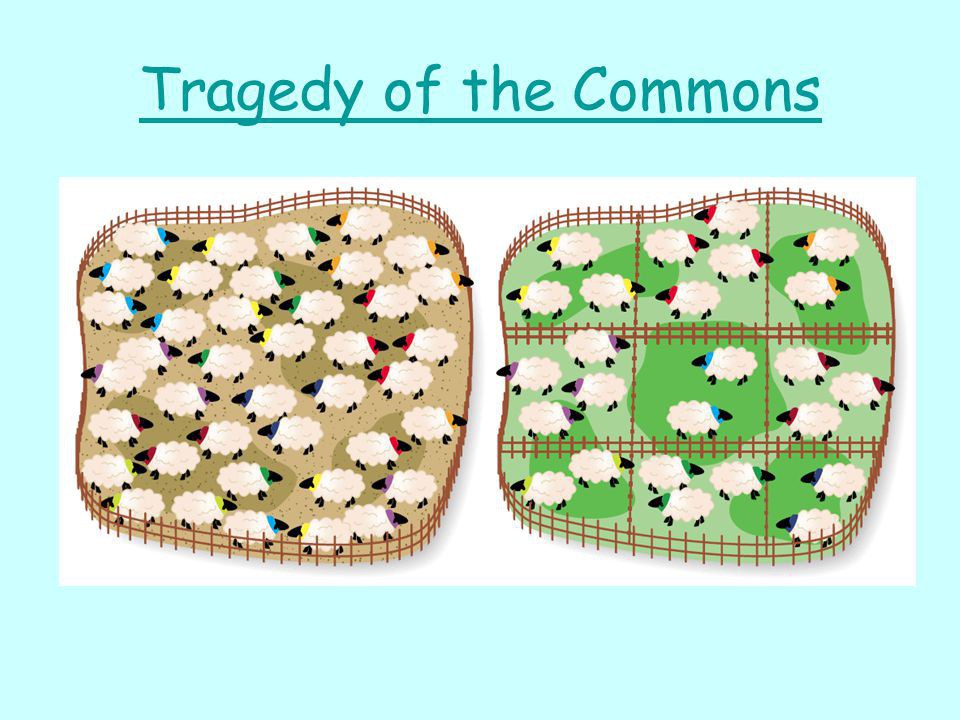 tragedy-of-the-commons