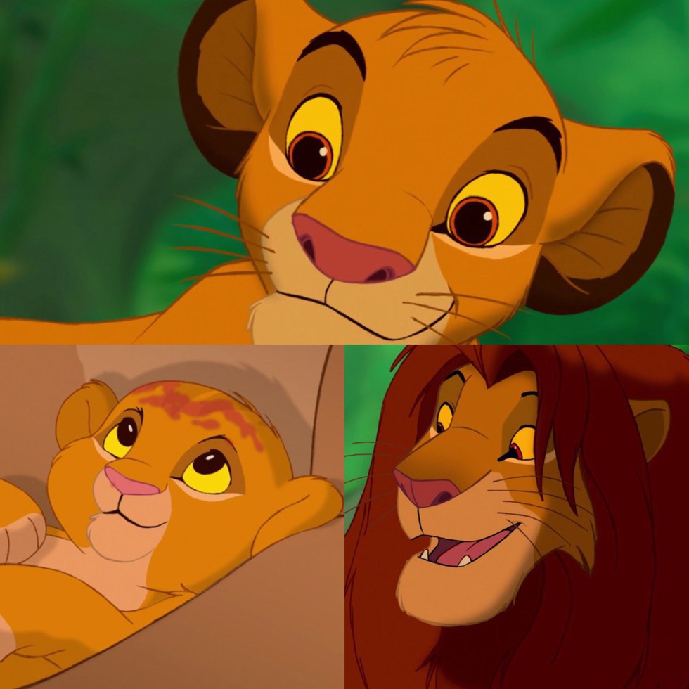 15 Things You Only Notice If You've Watched The Lion King Too Many Times