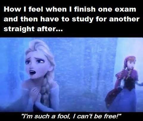 11 memes you will relate to while taking finals 980x 11 memes you will relate to while taking finals