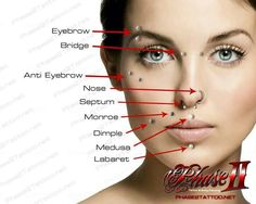 Ultimate Guide On Piercings From Placement To Aftercare