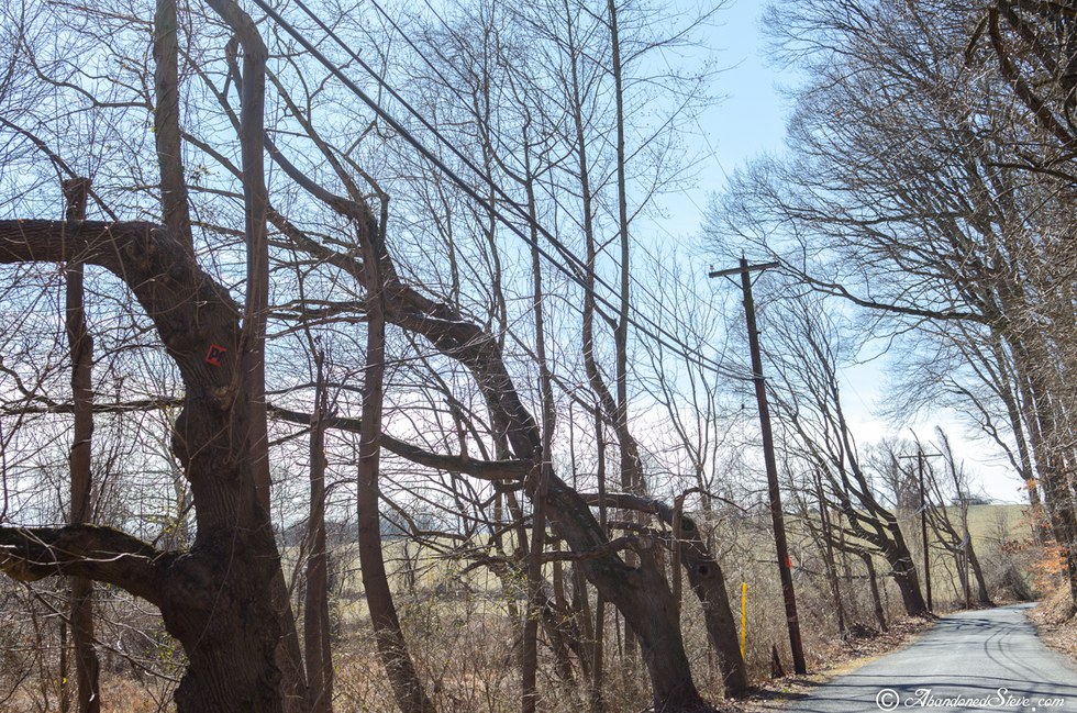 A Pennsylvania Legend The Cult House