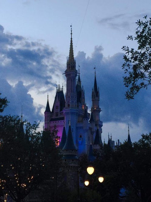46 Things Only Disney Addicts Understand