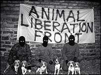 animal liberation front memeber