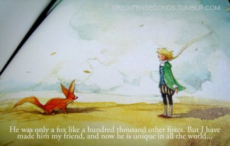My Favorite Quotes From "The Little Prince"
