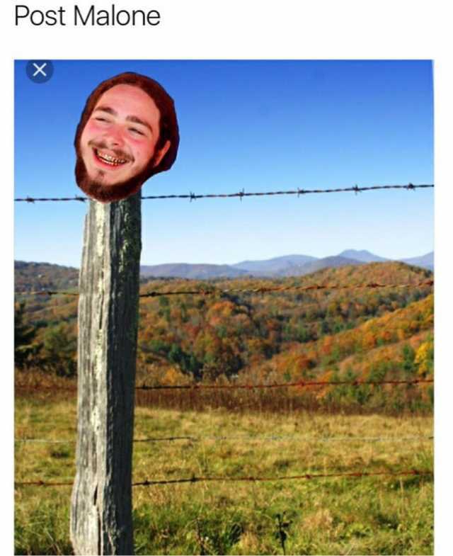 The 15 Best Post Malone Memes To Have Graced The