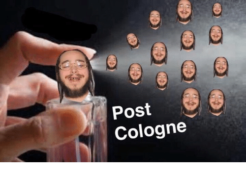 The 15 Best Post Malone Memes To Have Graced The Internet