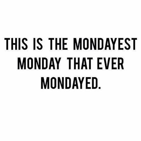 Monday Is The Best Day Of The Week