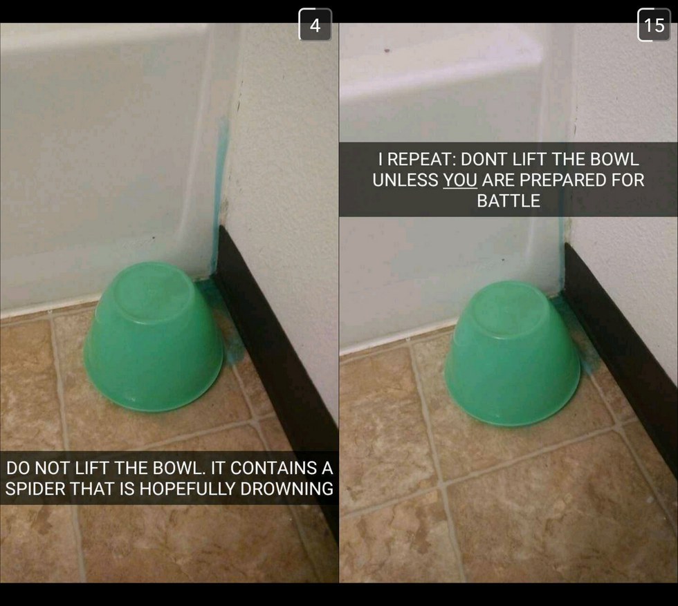 Apparently Dish Soap Kills Spiders